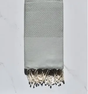 Telo mare tinta unita verde pallido 