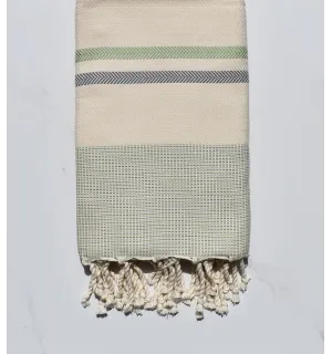 Chevron bianco crema, verde e grigio orizzonte 