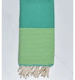 telo mare favo verde menta verde a strisce chartreuse 