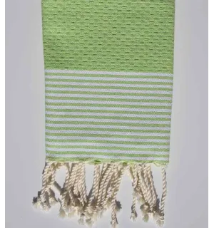 Set di 10 tovaglioli verde anice chiaro Fouta Tunisia - 3